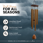 drive:listing:Teardrop/Gold/IMG (5).png
